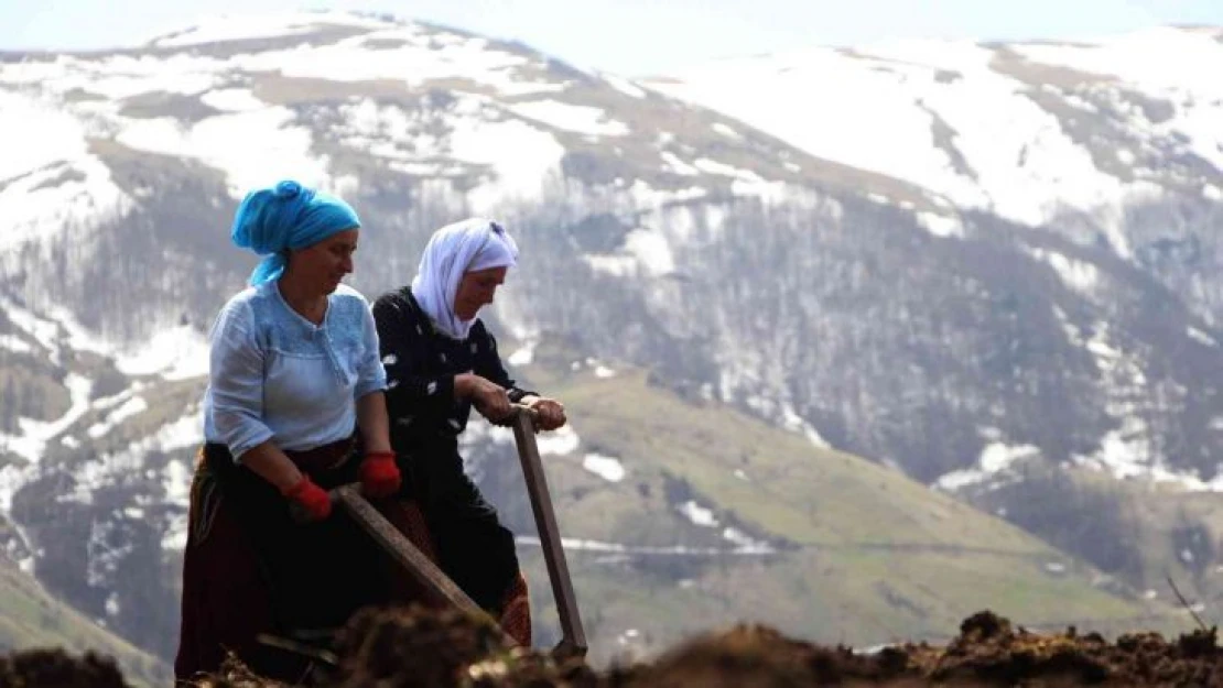 Şartlar çok zor olsa da onlar çalışmadan duramıyor