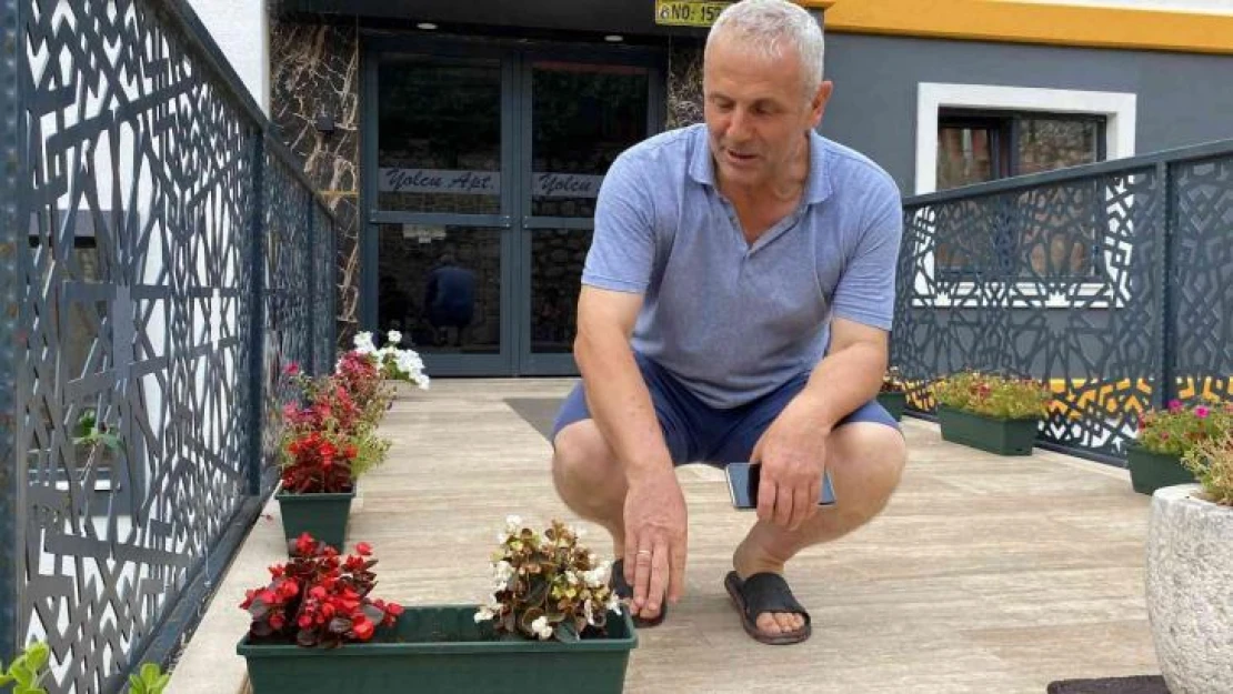 Şaşkın hırsız kamerada, yol kenarındaki çiçeği saksıyla beraber götürdü