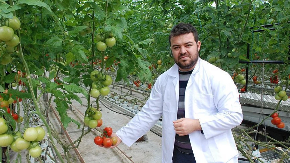 Sebzeleri 'bilgisayar' ile üretiyorlar