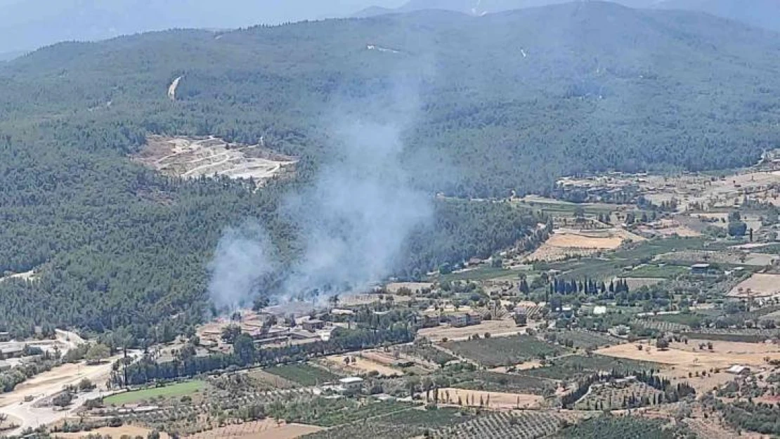 Seferihisar'da ikinci yangın