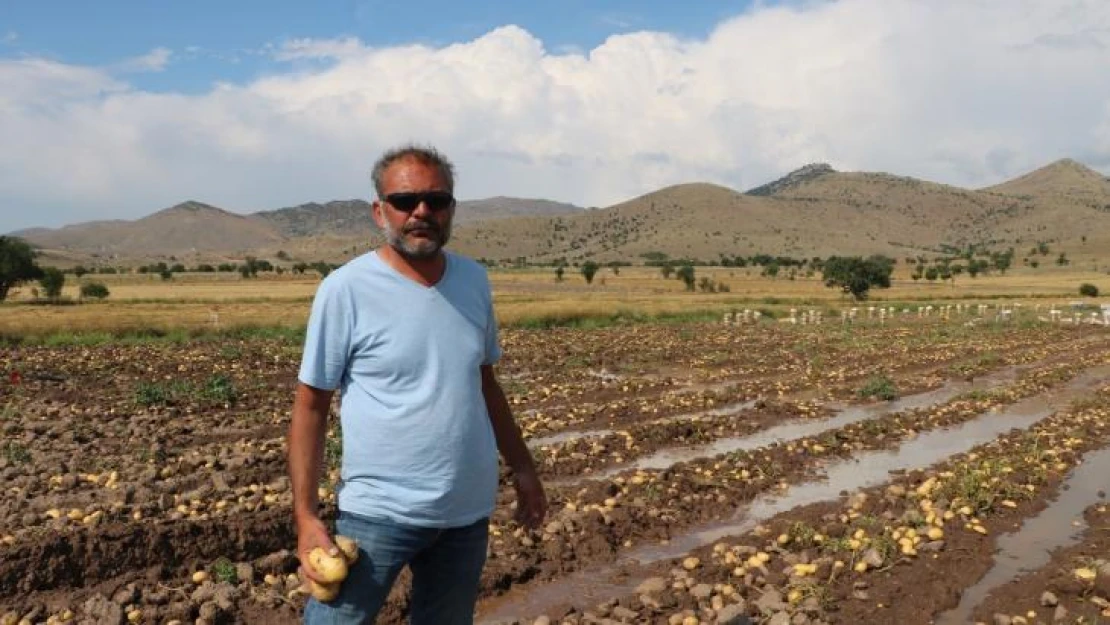 Sel basan tarlada toplanmaya bekleyen 35 ton patates sular altında kaldı