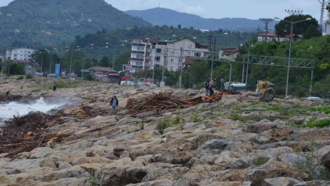 Sel sonrası kıyıya vuran odunlar, vatandaşlar tarafından toplanıyor