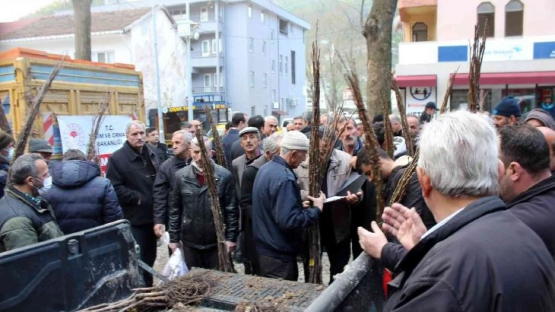 Selden etkilenen üreticilere arı kovanı ve ceviz fidanı dağıtıldı