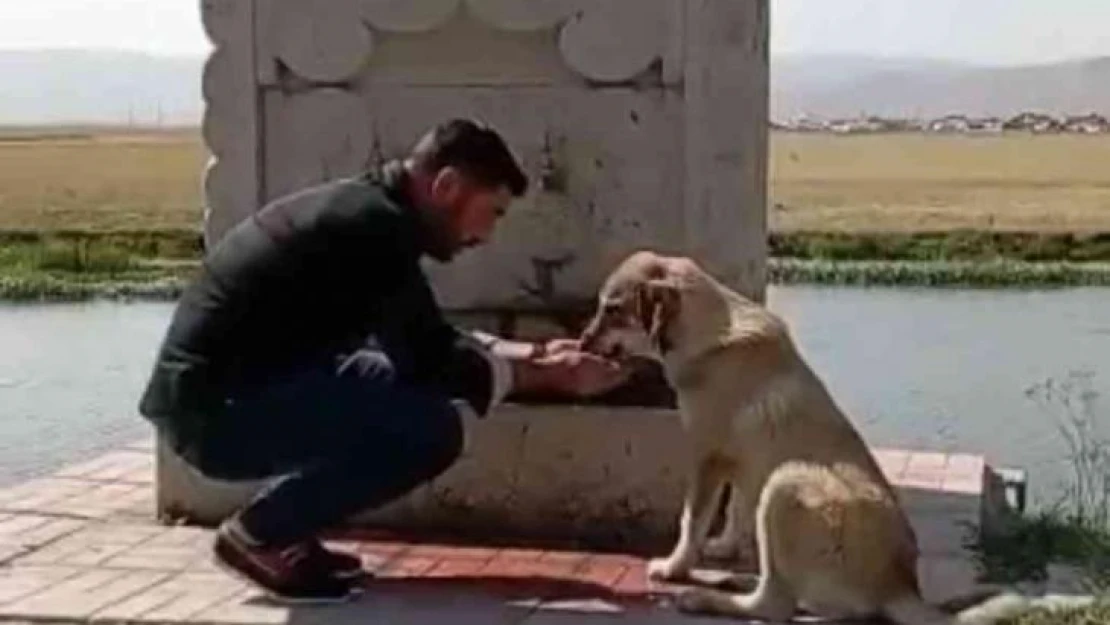 Sıcaktan bunalan köpeğe elleri ile su verdi