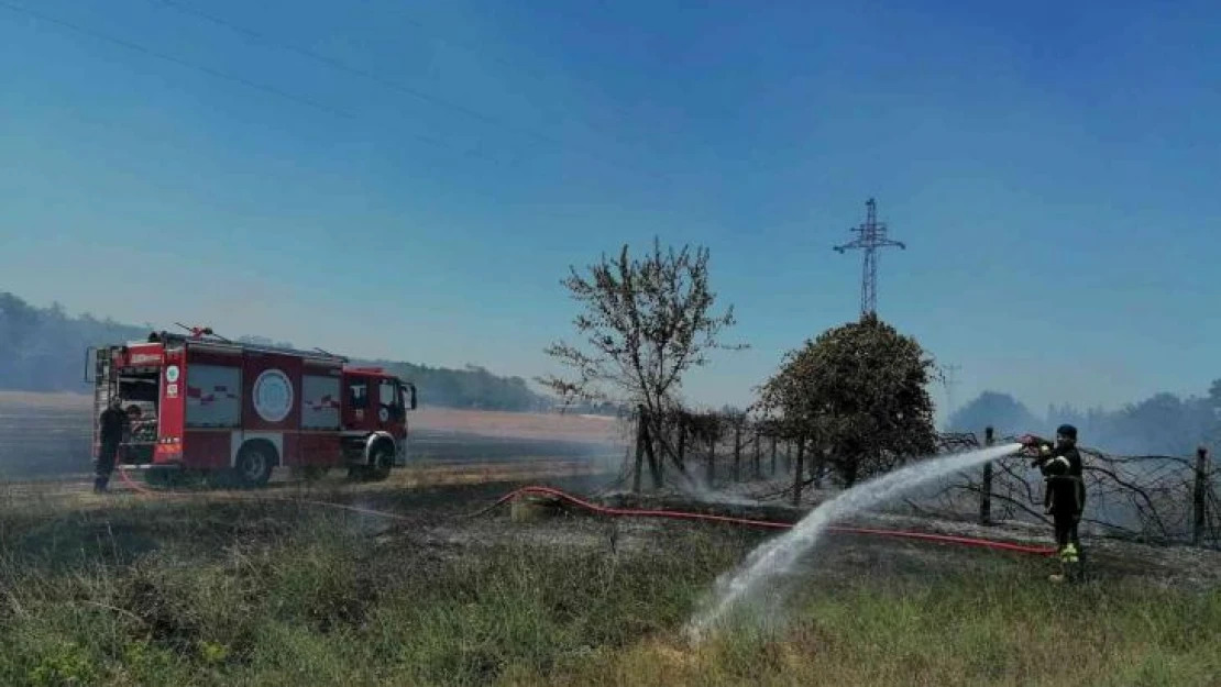 Sigara izmariti anız yangınına neden oldu