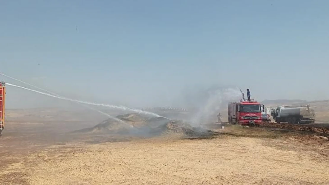 Siirt'te 100 ton buğday yangında kül oldu