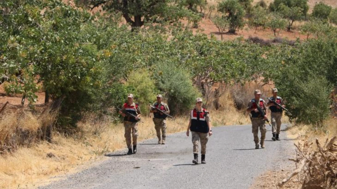 Siirt'te jandarma, fıstık hırsızlığına karşı bağ ve bahçelerde kuş uçurtmuyor