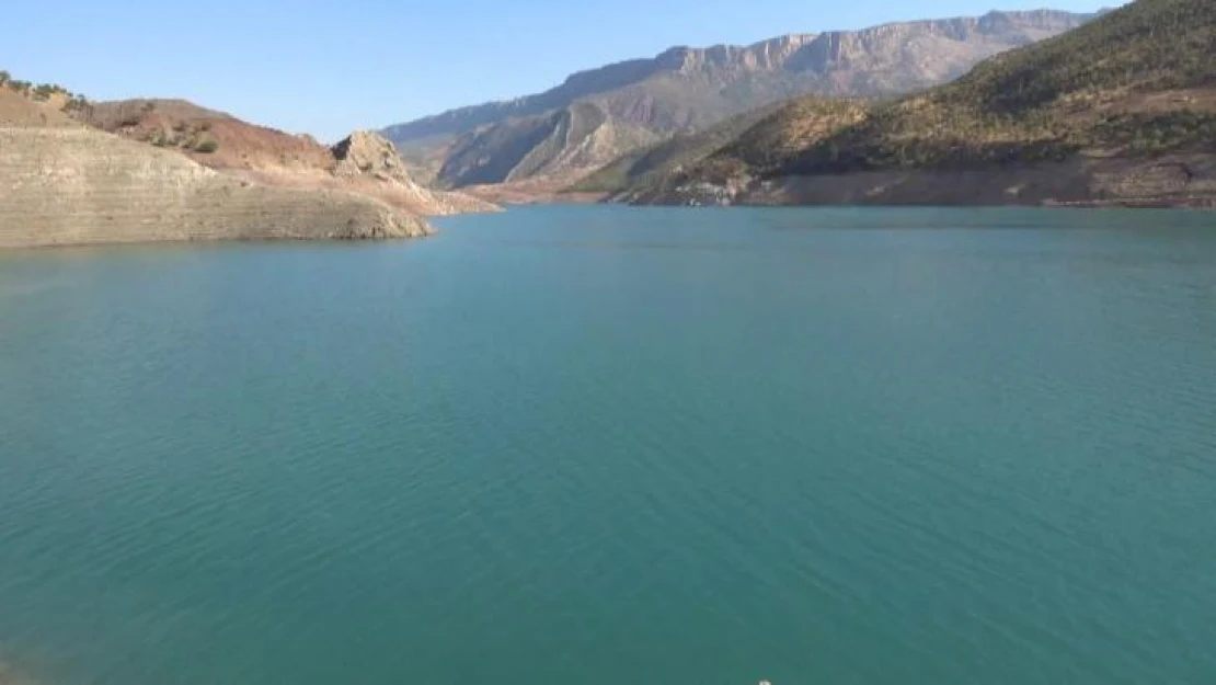 Siirt'te kaçak avcılara jandarmadan suçüstü