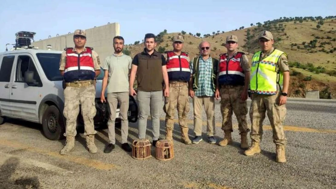 Siirt'te kaçak avcıya tutanak tutuldu