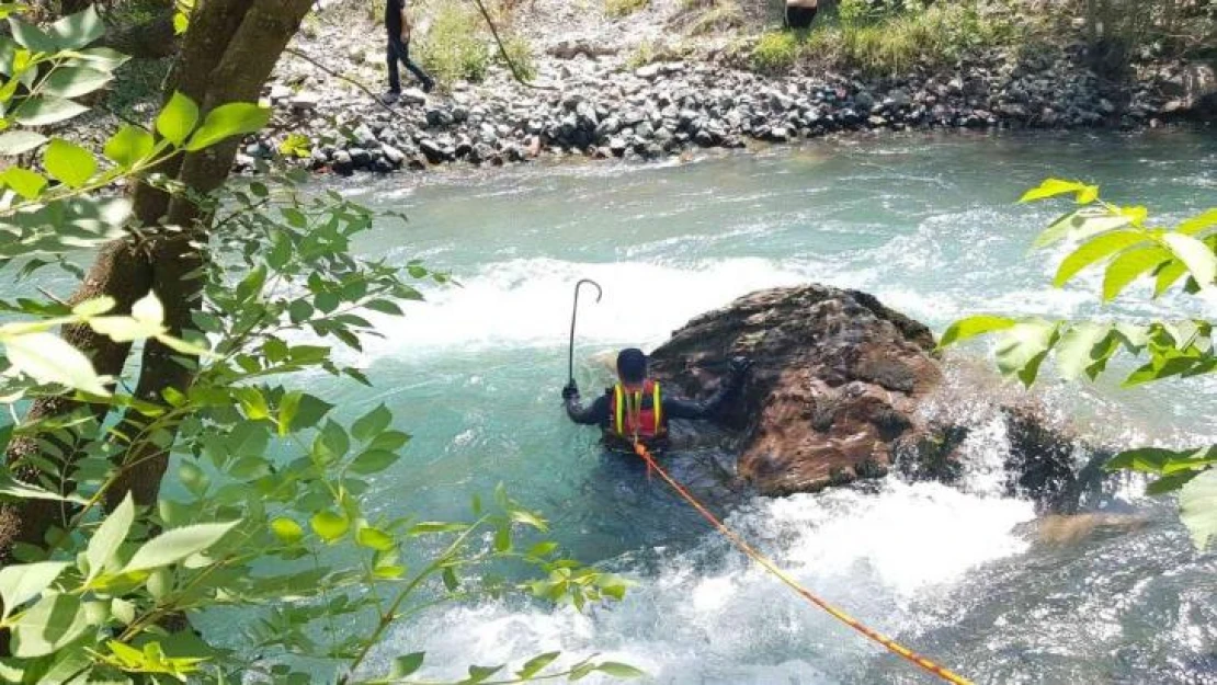 Siirt'te kayıp hemşireyi arama çalışmaları devam ediyor