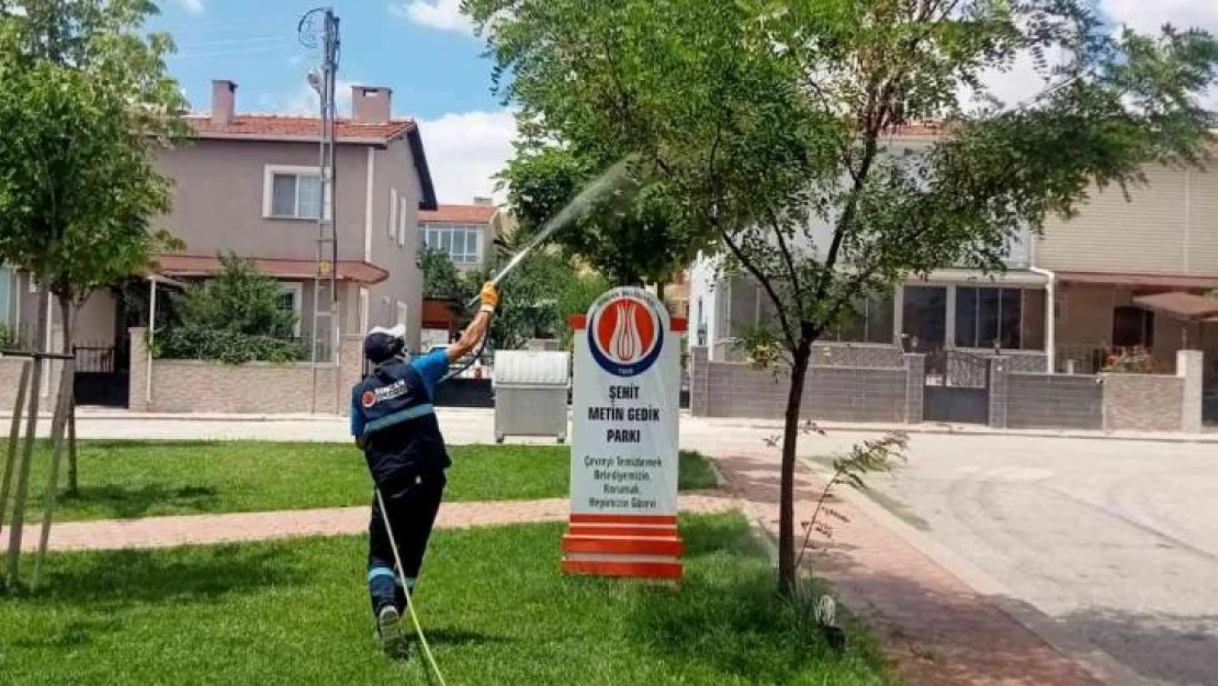 Sincan'da ilaçlama çalışmaları aralıksız sürüyor