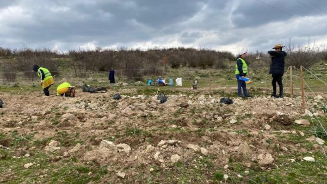 Sındırgı'da bal ormanı kuruluyor