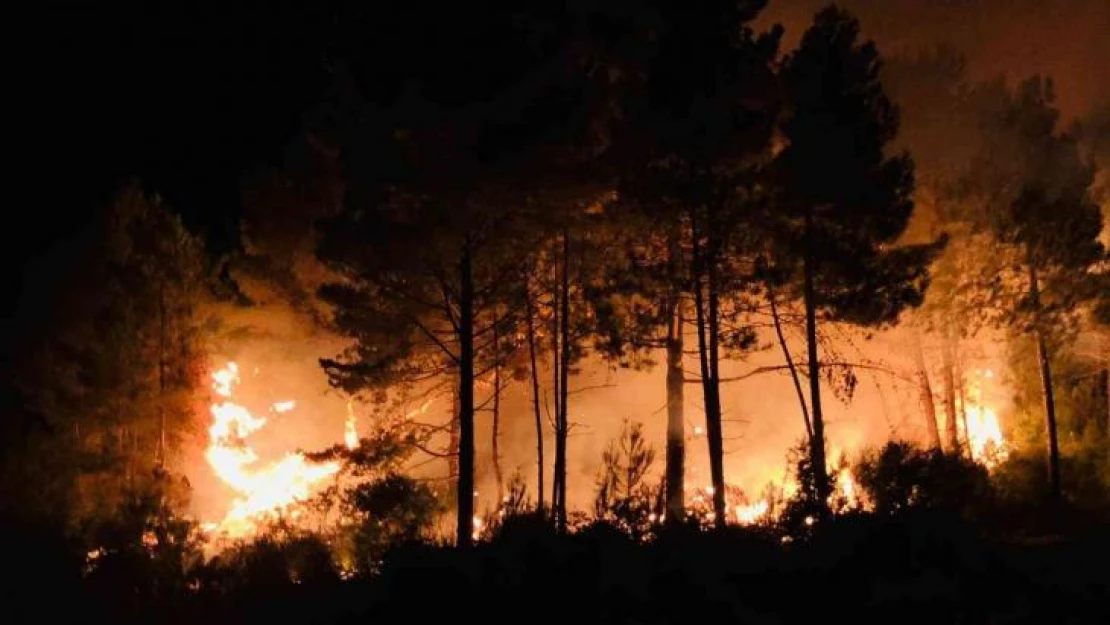 Sinop'un Gerze ilçesinde çıkan orman yangını korkuttu