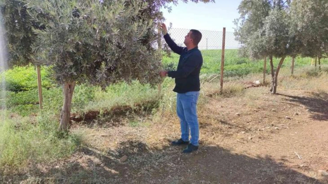 Şırnak'ta çiftçiler kuraklığı baraj sularıyla aşmak istiyor