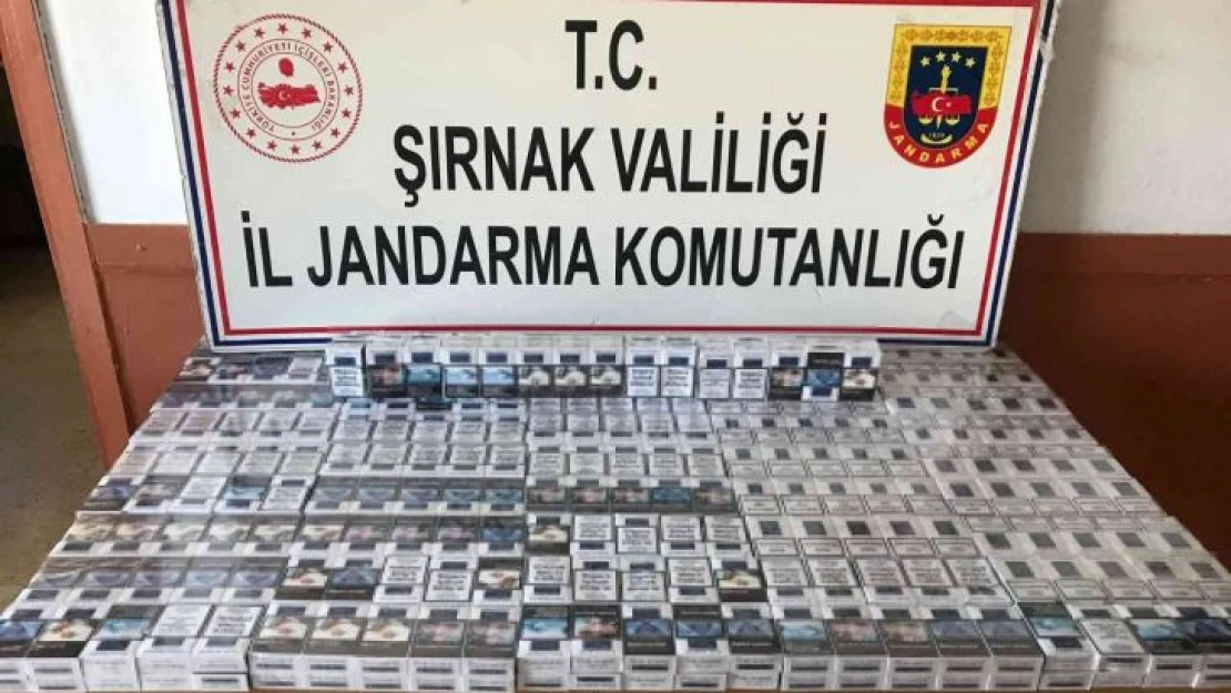 Şırnak'ta kaçakçılık ve asayiş operasyonu: 72 gözaltı