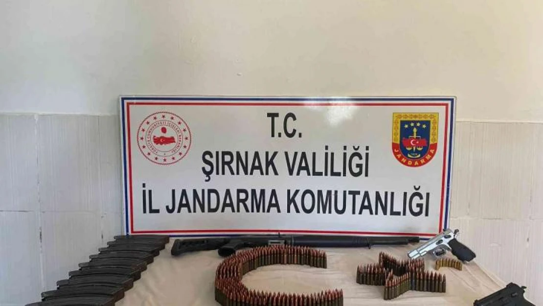 Şırnak'ta kaçakçılık ve asayiş operasyonu: 49 gözaltı