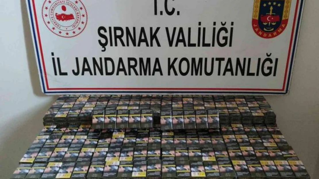 Şırnak'ta kaçakçılık ve asayiş operasyonu: 51 gözaltı