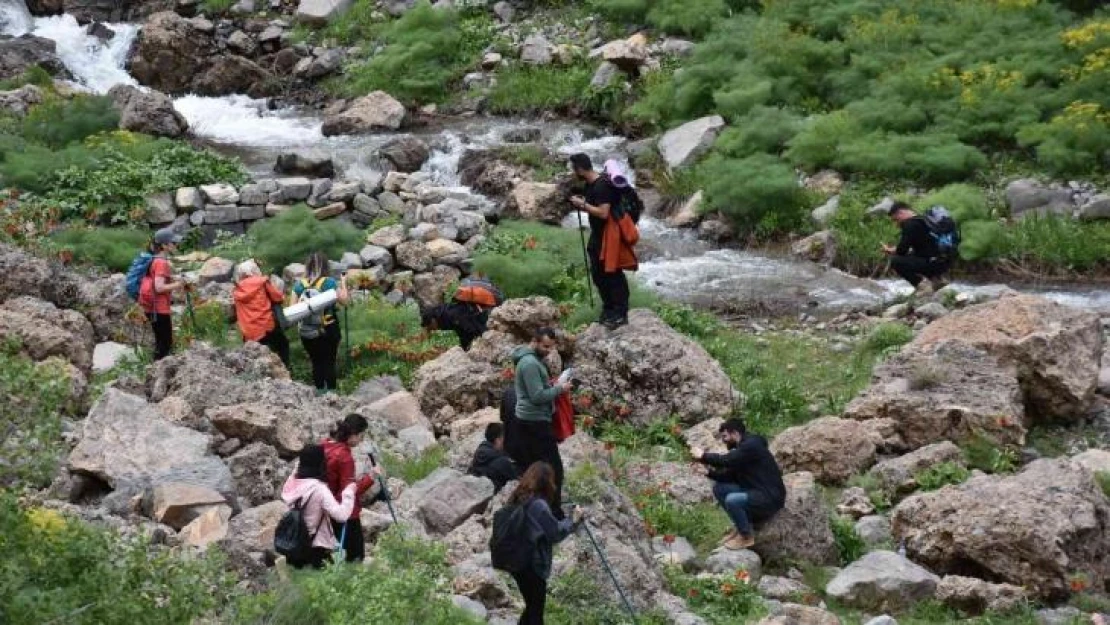 Şırnak'ta ters lale için turlar düzenleniyor