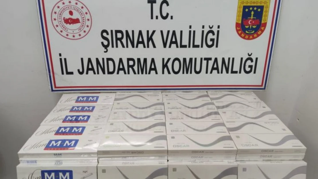 Şırnak'ta uyuşturucu ve kaçakçılık operasyonu: 4 kişi tutuklandı