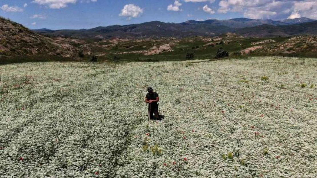 Sivas'ta kış günlerini aratmayan görüntü