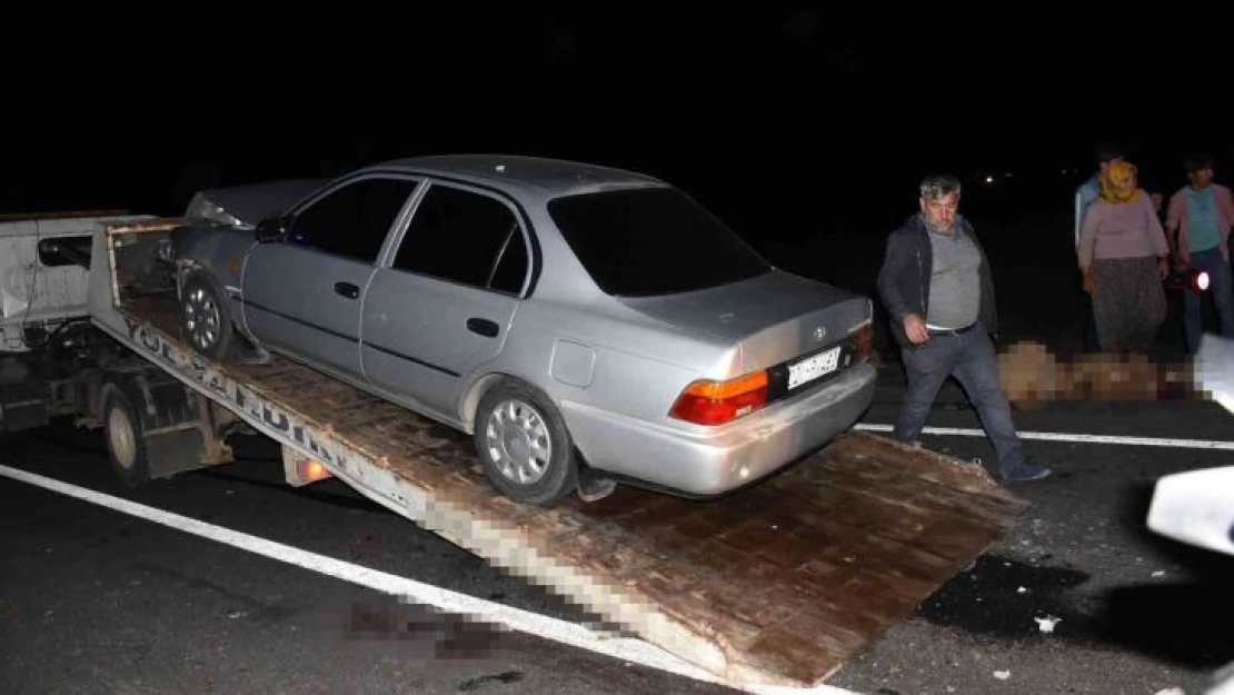 Siverek'te otomobil koyun sürüne daldı, 12 koyun telef oldu