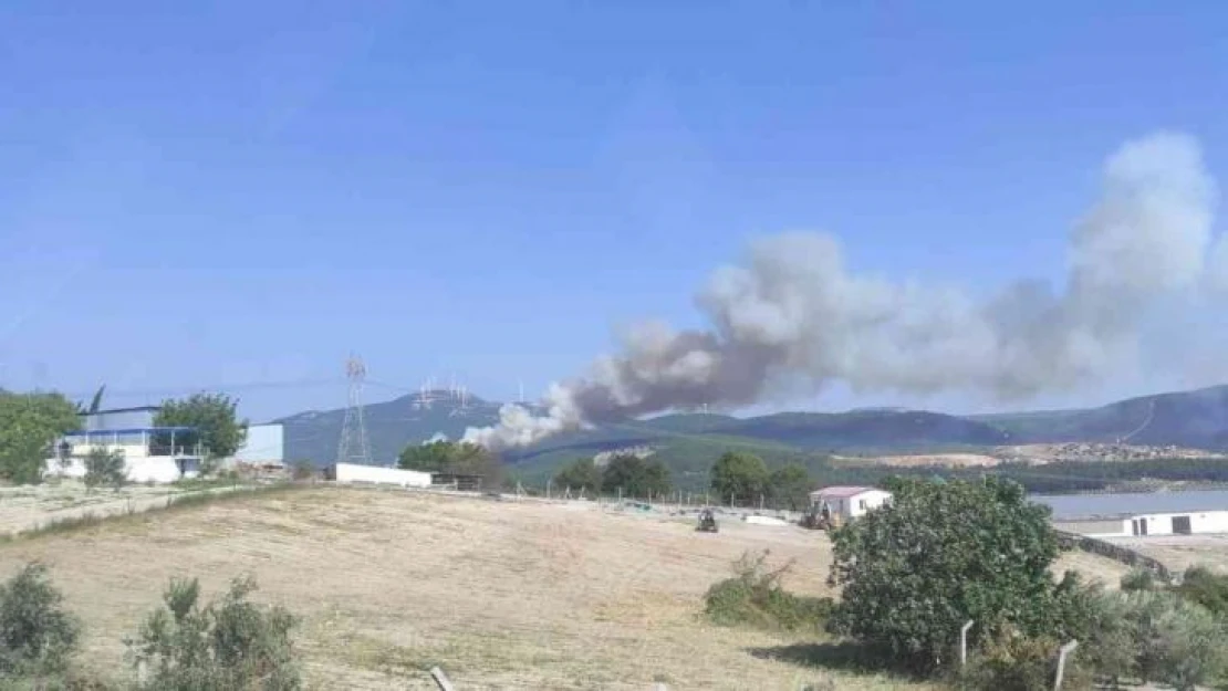 Soma'da farklı noktada ikinci orman yangını