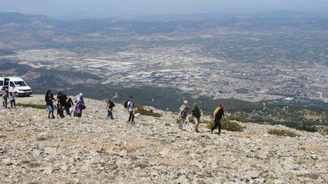 Spil Dağı Milli Parkı'nın endemik tür bitki ve çiçekleri fotoğraflandı