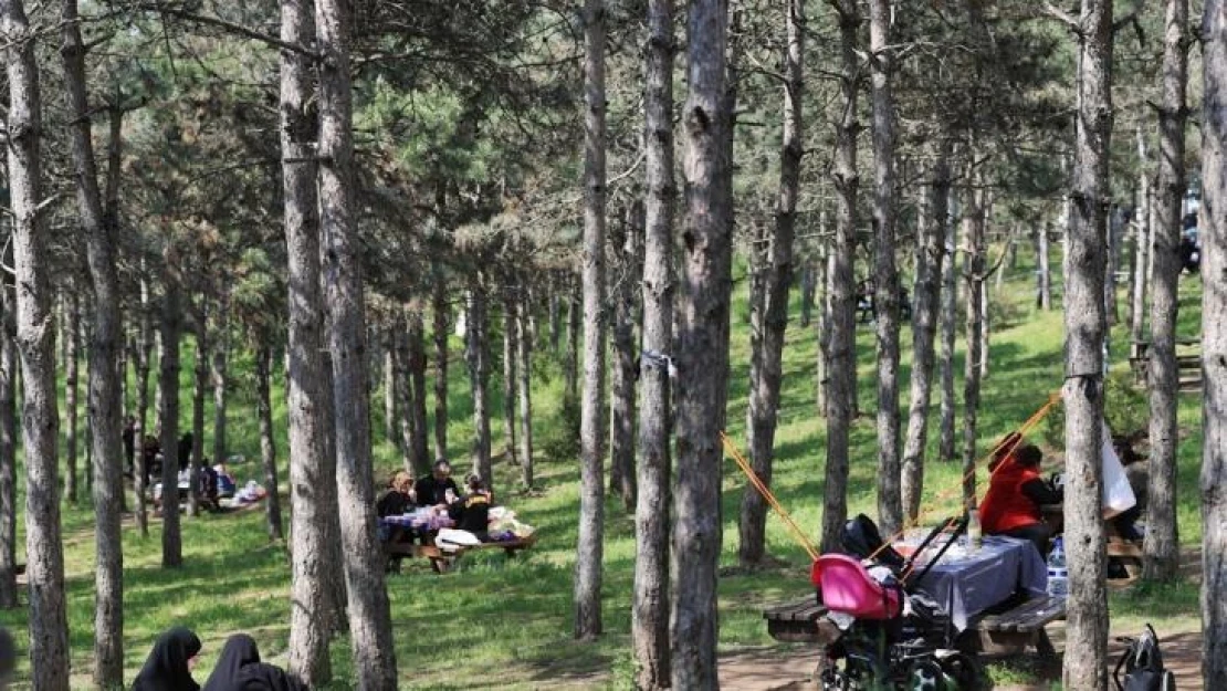 Sultangazi Şehir Ormanlarında piknik mevsimi başladı