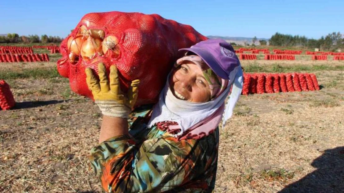 Suluova soğanına coğrafi işaret tescili