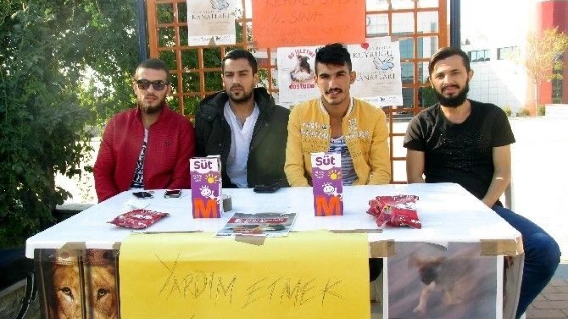 Adü'lü  Gençler  Sahipsiz  Sokak  Hayvanları  İçin  Kampanya  Başlattı