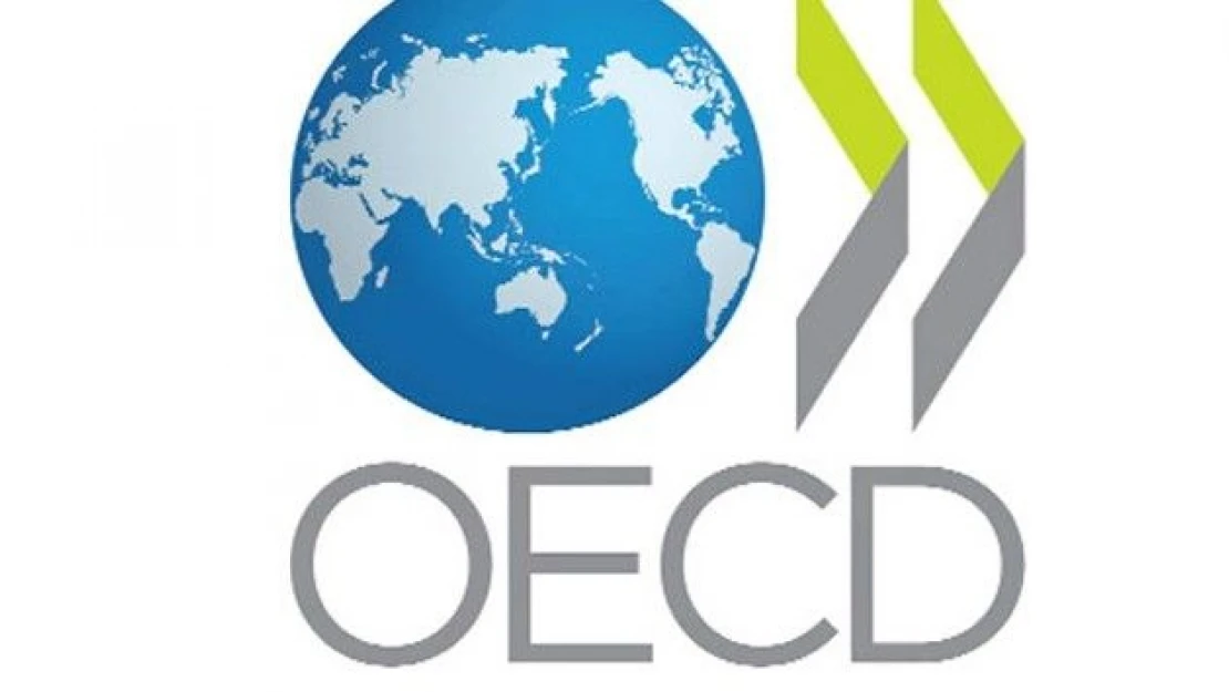 OECD açıkladı: 'En çok sigara tüketen ülkelerden biri Türkiye'