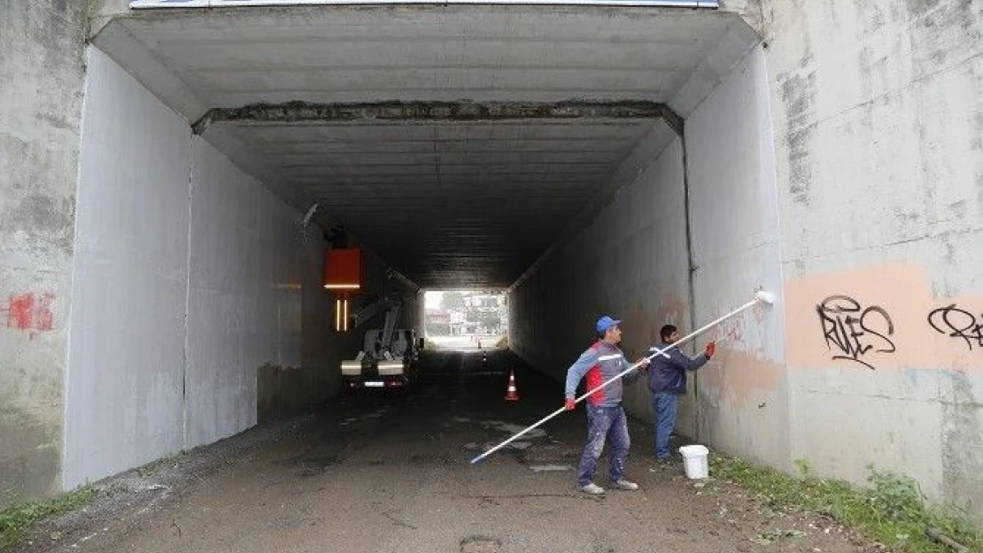 Sapanca  Belediyesi  Alt  Geçitleri  Düzenliyor