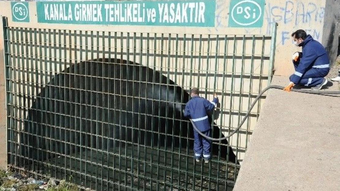 Sineklere  Yönelik  Mücadele  Başladı