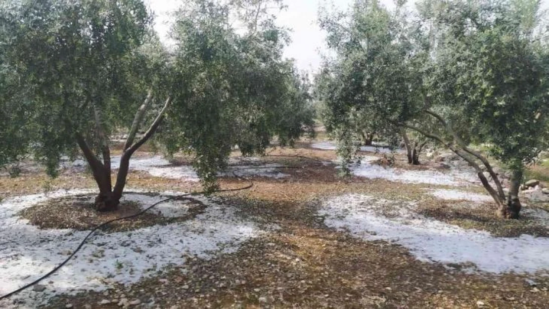 Tarsus'ta dolu ve fırtına etkili oldu