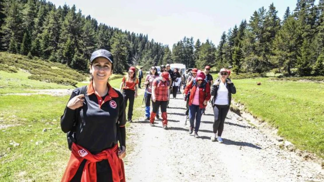 Taşköprü'deki Koru Kayası gezisine yoğun katılım