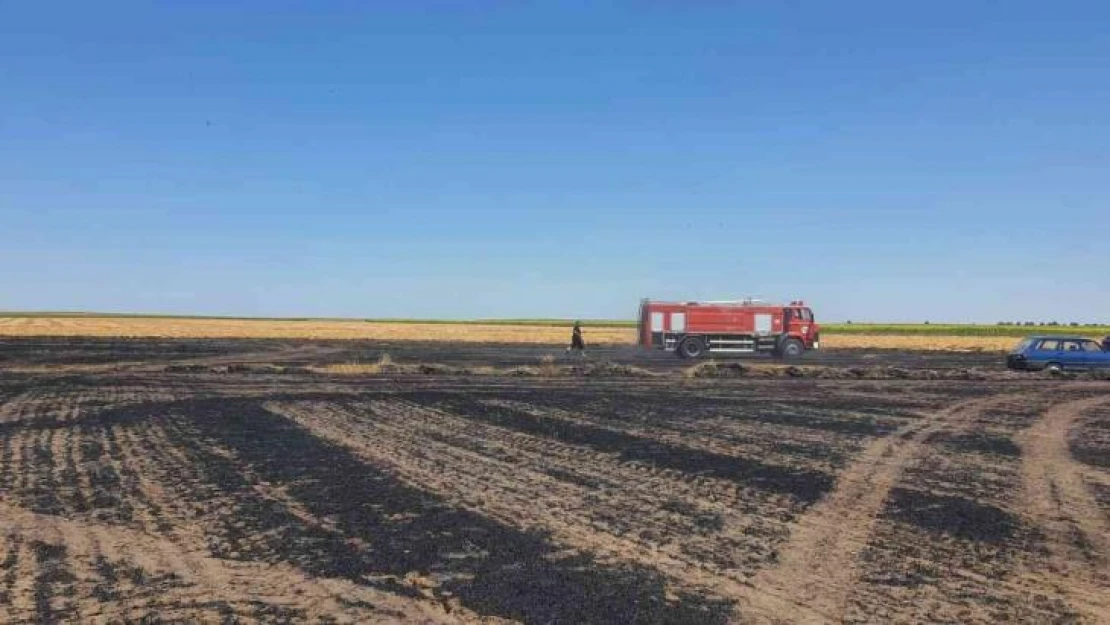 Tekirdağ'da 130 dönüm arazi kül oldu