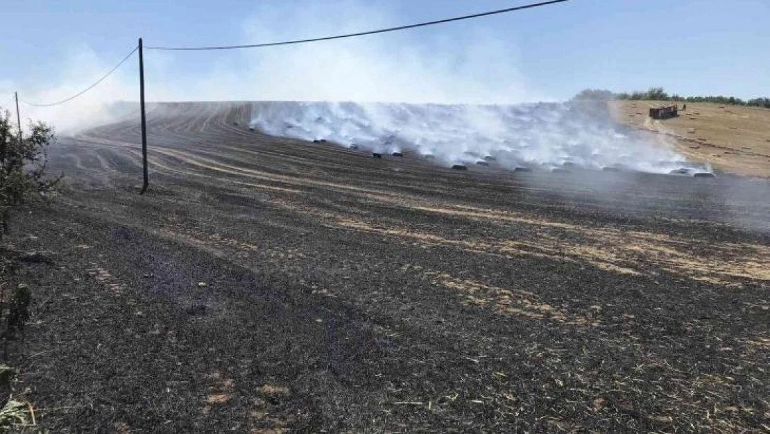 Tekirdağ'da 40 dekar tarla yandı