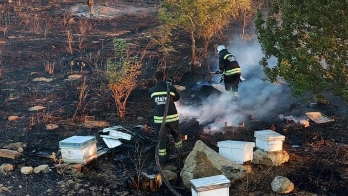 Tekirdağ'da binlerce arı diri diri yandı: 15 yıllık emek kül oldu