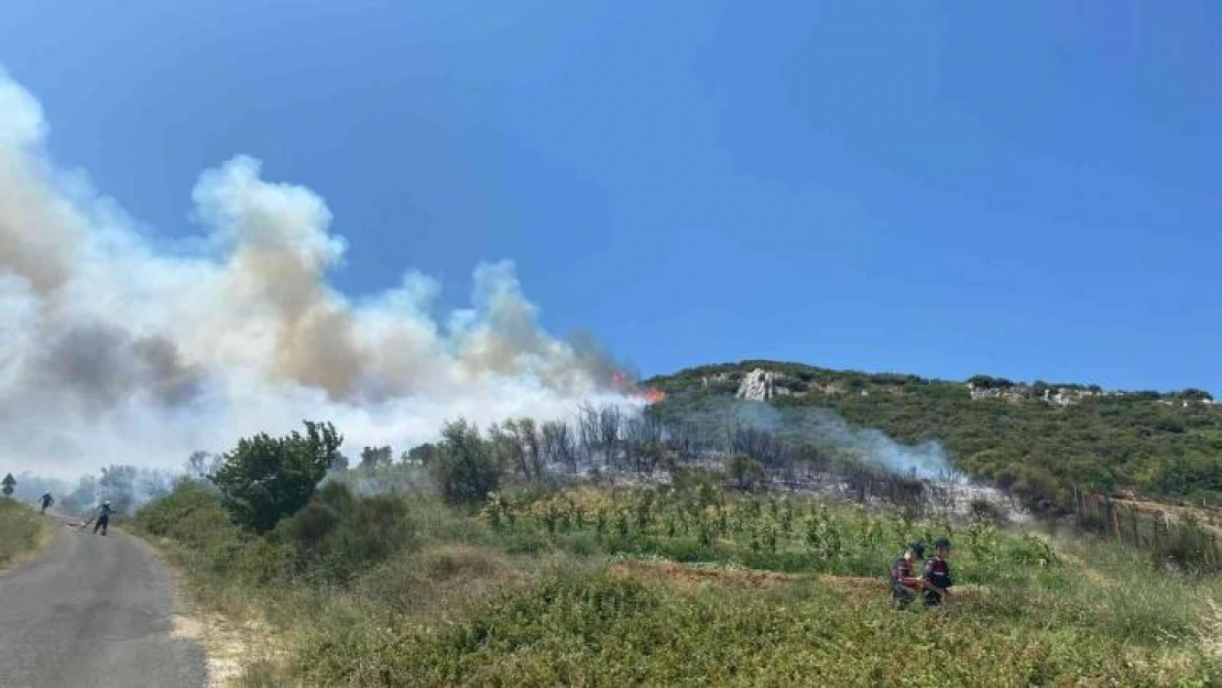 Tekirdağ'da çıkan orman yangını kontrol altına alındı