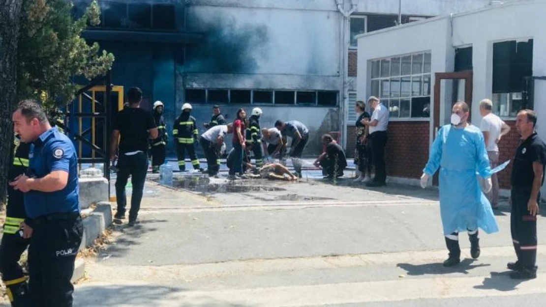 Tekirdağ'da fabrikada kimyasal patlama: Bölgeye çok sayıda ambulans sevk edildi