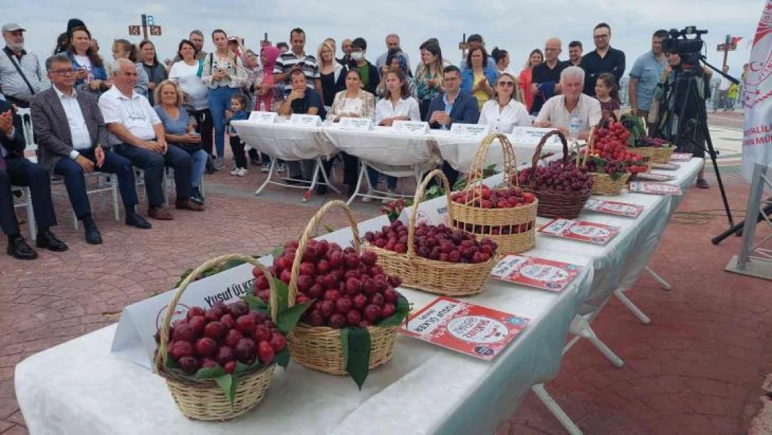 Tekirdağ'da kiraz güzellik yarışması düzenlendi