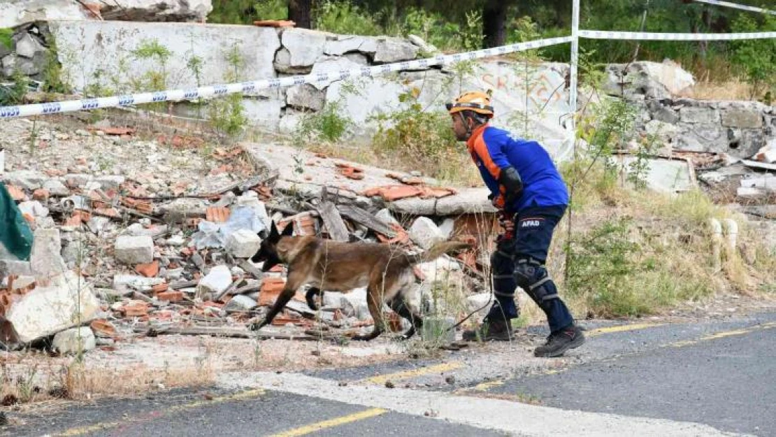 Tekirdağ'da Köpekli Arama Kurtarma Tatbikatı