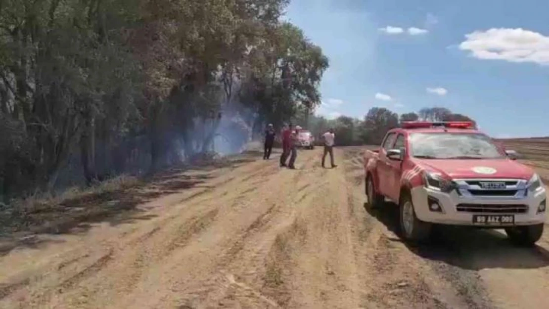 Tekirdağ'da orman yangını kontrol altına alındı