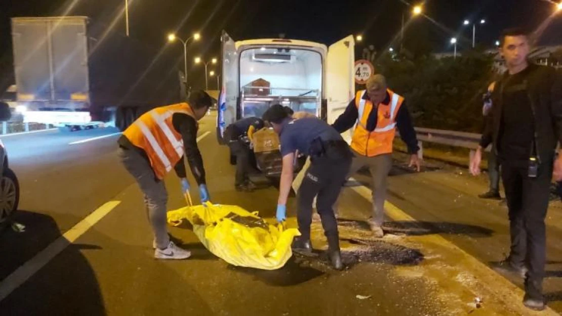 TEM'de yolun karşısına geçerken tırın çarptığı şahıs hayatını kaybetti