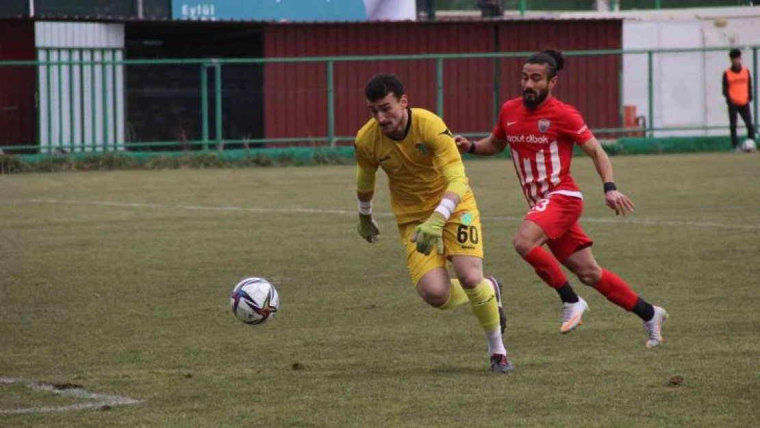 TFF 3. Lig: HD Elazığ Karakoçan: 3 - Çarşambaspor: 1