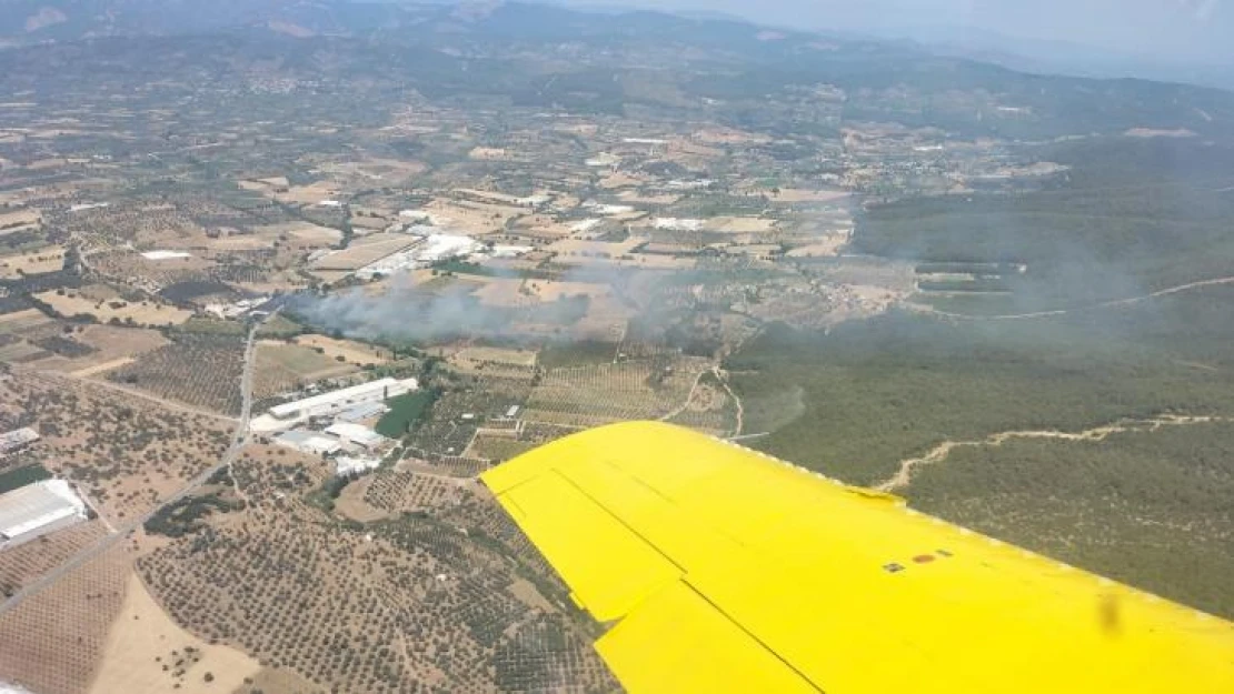 Torbalı'da zeytinlik alanda yangın