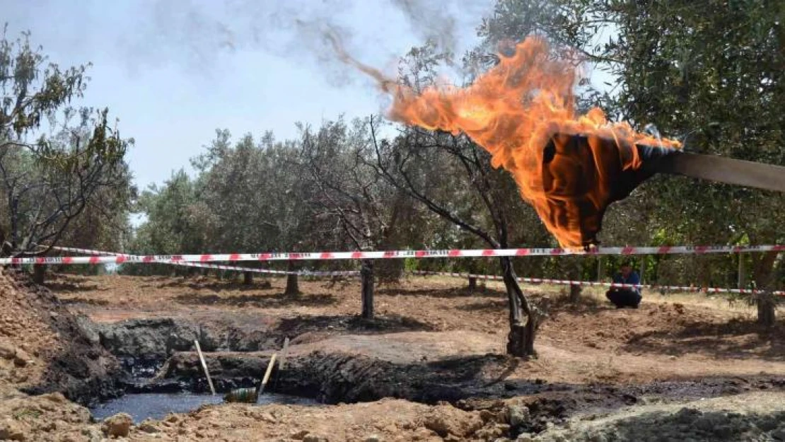 TPAO, petrole benzer siyah sıvıdan numune aldı