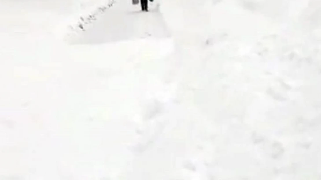 Trabzon-Bayburt karayoluna çığ düştü