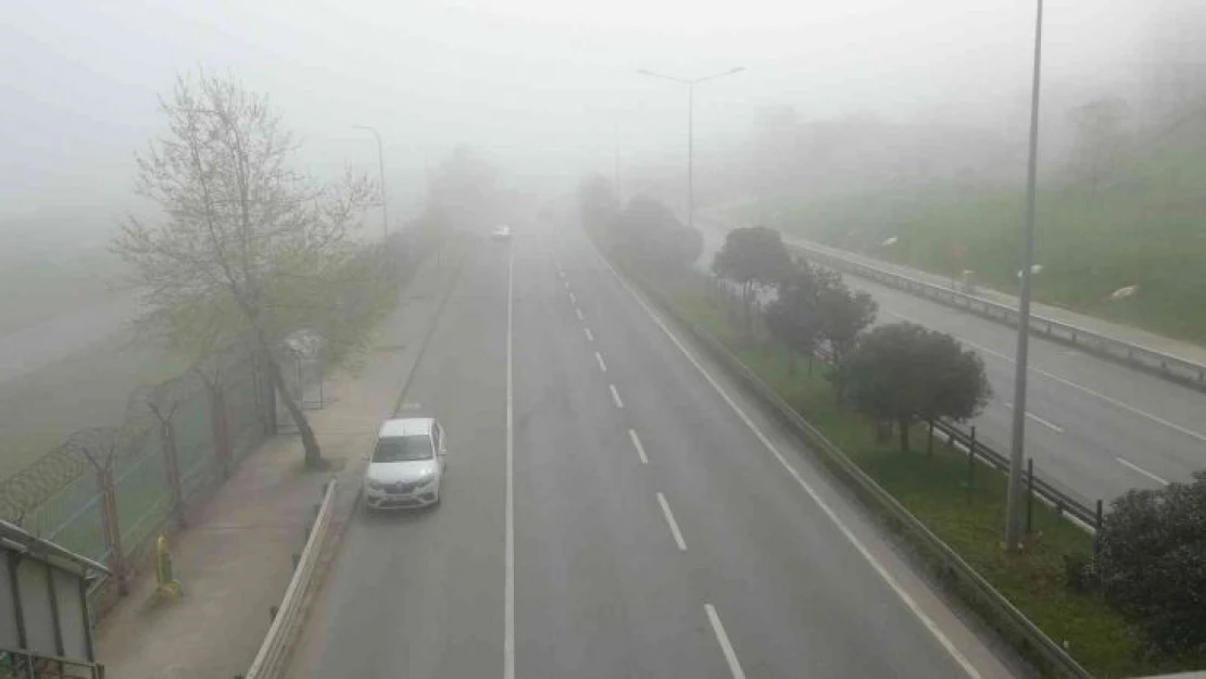 Trabzon'da sis hayatı olumsuz etkiliyor