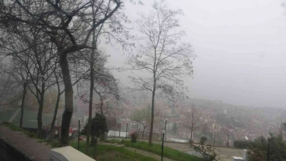 Trabzon'da yoğun sis etkili oluyor